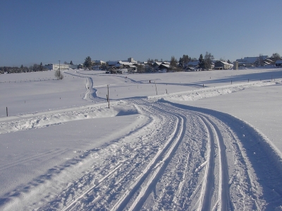 s&uuml;dlicher bayerischer Wald