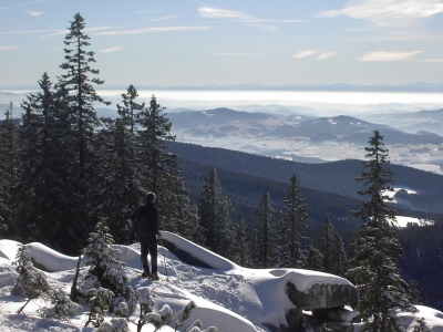 südlicher bayerischer Wald