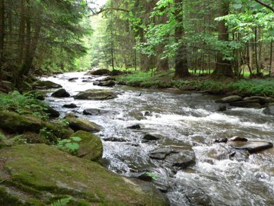 s&uuml;dlicher bayerischer Wald