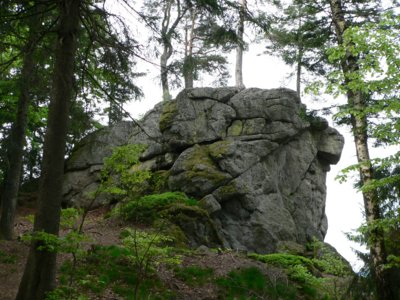 s&uuml;dlicher bayerischer Wald