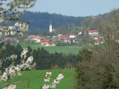 s&uuml;dlicher bayerischer Wald