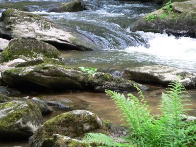s&uuml;dlicher bayerischer Wald