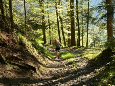 s&uuml;dlicher bayerischer Wald