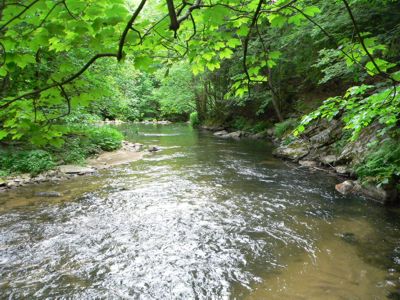 s&uuml;dlicher bayerischer Wald