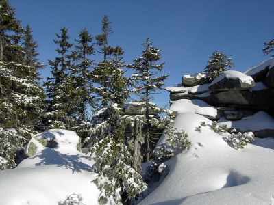 s&uuml;dlicher bayerischer Wald